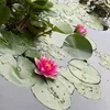 lenamarie1102