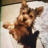 bsl.jacqui