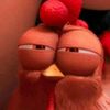 pollito_the_pollo