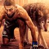 anouar.tchae
