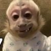 maggie_musso