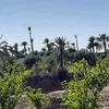 almaghrib_maroc