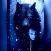 zachblackwolf99