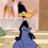 fashionsteven