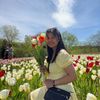 mayflordem