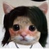 ferrerrachel