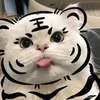 gsyjsmasoau