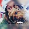 tatjana.love.ly
