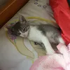ednalucia_103