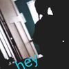 hairy_monkeyssss