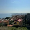 knzgo