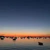 alexo2458
