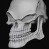 sinteeth