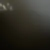 siga.69