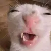 _atencyzm