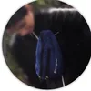 itsroschen