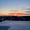 matthew_cannata