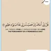 ninamohamed77