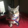 peggydjeblahi