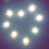 casey_ann
