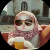 stelladave