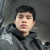 bruno_andree
