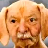 nego_edita