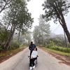 kopi_o_kauu_21