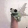 tiny.boops
