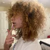zi3_4l