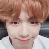 v_vmint