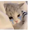 crybabyyyymo