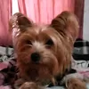 susanaa_2o