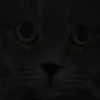 zoetomat