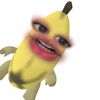 chanizurita