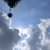 minidzvcl