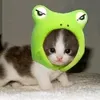 https.rato