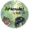Arácnidos y algo más 🕷️ 🍂