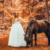 Kimi🐴🦄