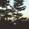 goodyblue_