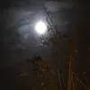 pv.xyz1