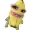 saji_xxvy