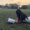 perla_jcandido