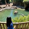 josephine_4322