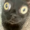 yrhejsnssbbf