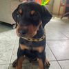 sebastian200024