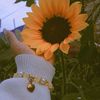 yisa_95