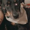 jazzyjenny25
