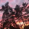 jacob.bxrx