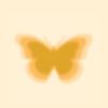 midnight_sky889